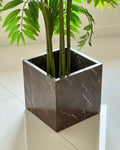Brown plant pot