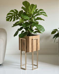 Gold Stand wooden plant pot (2 sizes Available)