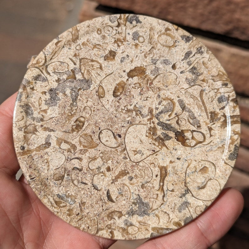 Fossil Marble Coaster