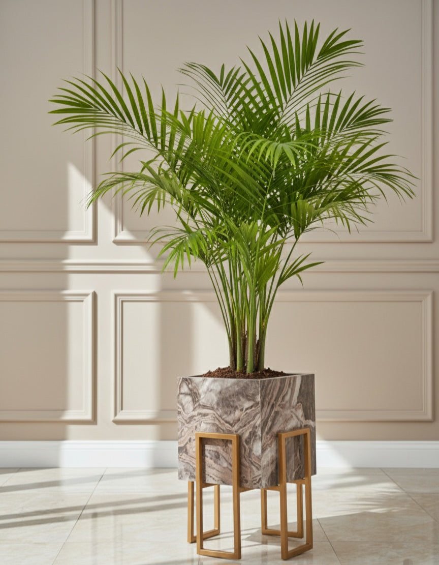 Gold Stand Creamy beige glossy plant pot (2 Sizes Available) Alike Marble