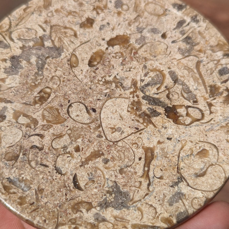 Fossil Marble Coaster