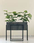 Charcoal 80cm pot or table